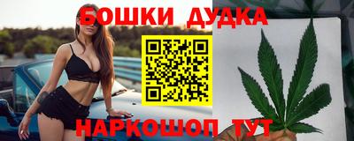 сатива Гай